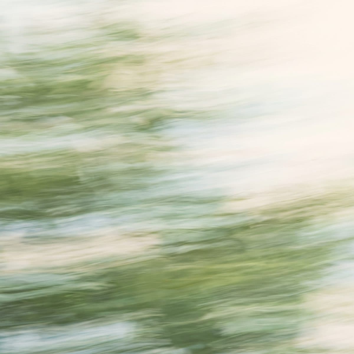 How to add text over a video: timed titles and labels