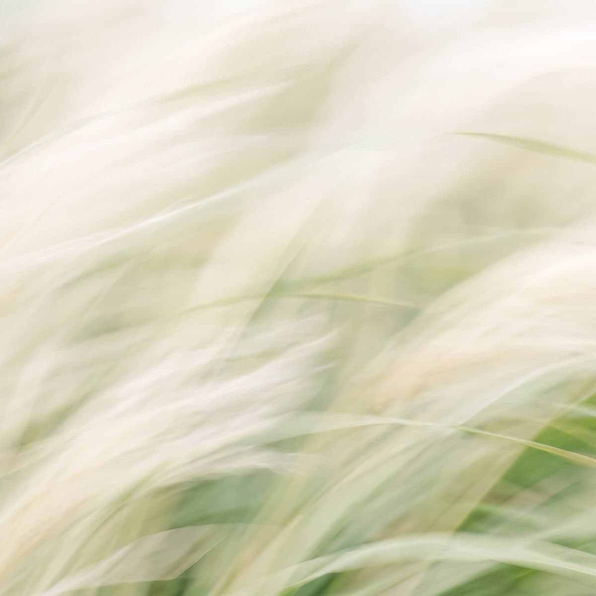 How to brighten a dark video: exposure, gamma, or levels