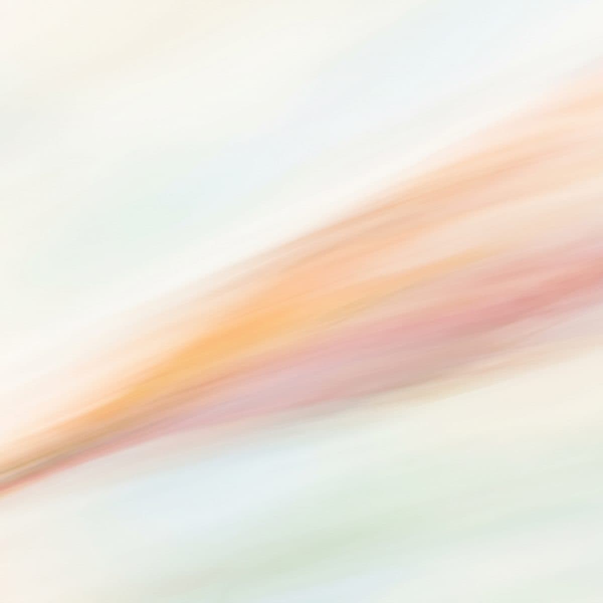 Script to video AI: turn a finished script into a video